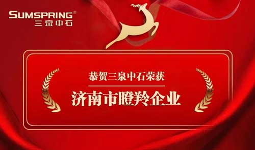 瞪羚企業 瞪羚企業